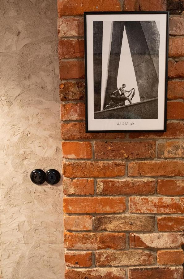 Apartament Foto Loft - Villa Vinci - Z Prywatnym Monitorowanym Parkingiem - Space Apart Jelenia Gora Luaran gambar